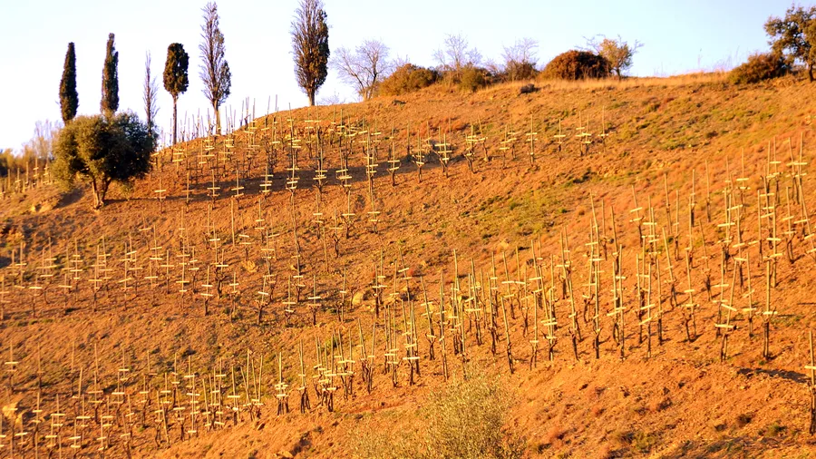 Imagen de Atracción: cmltp0yfc09glu9ac40yp5ez4