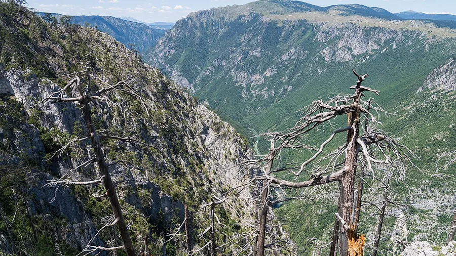 Barranquismo medio en la cueva de La Leze, Araia