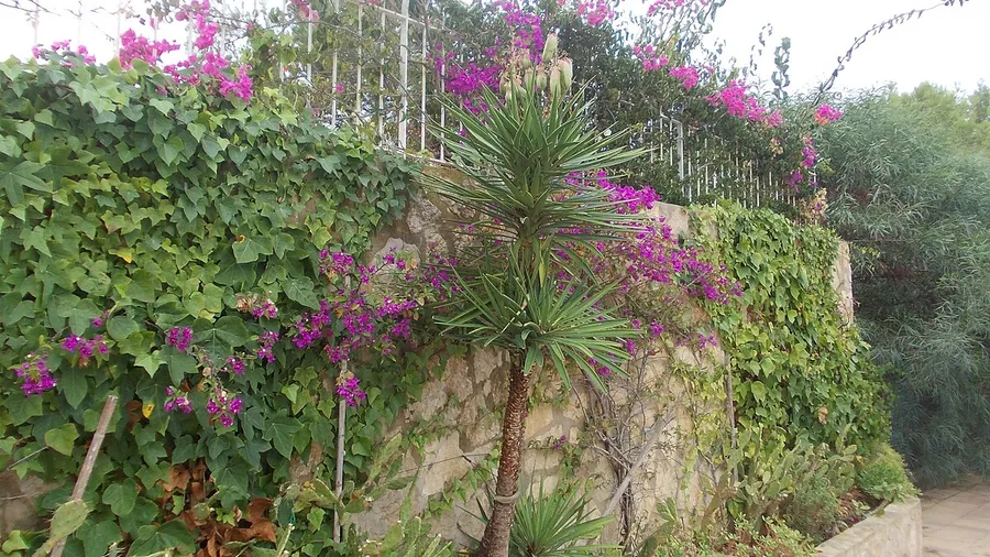 Sant Josep de sa Talaia