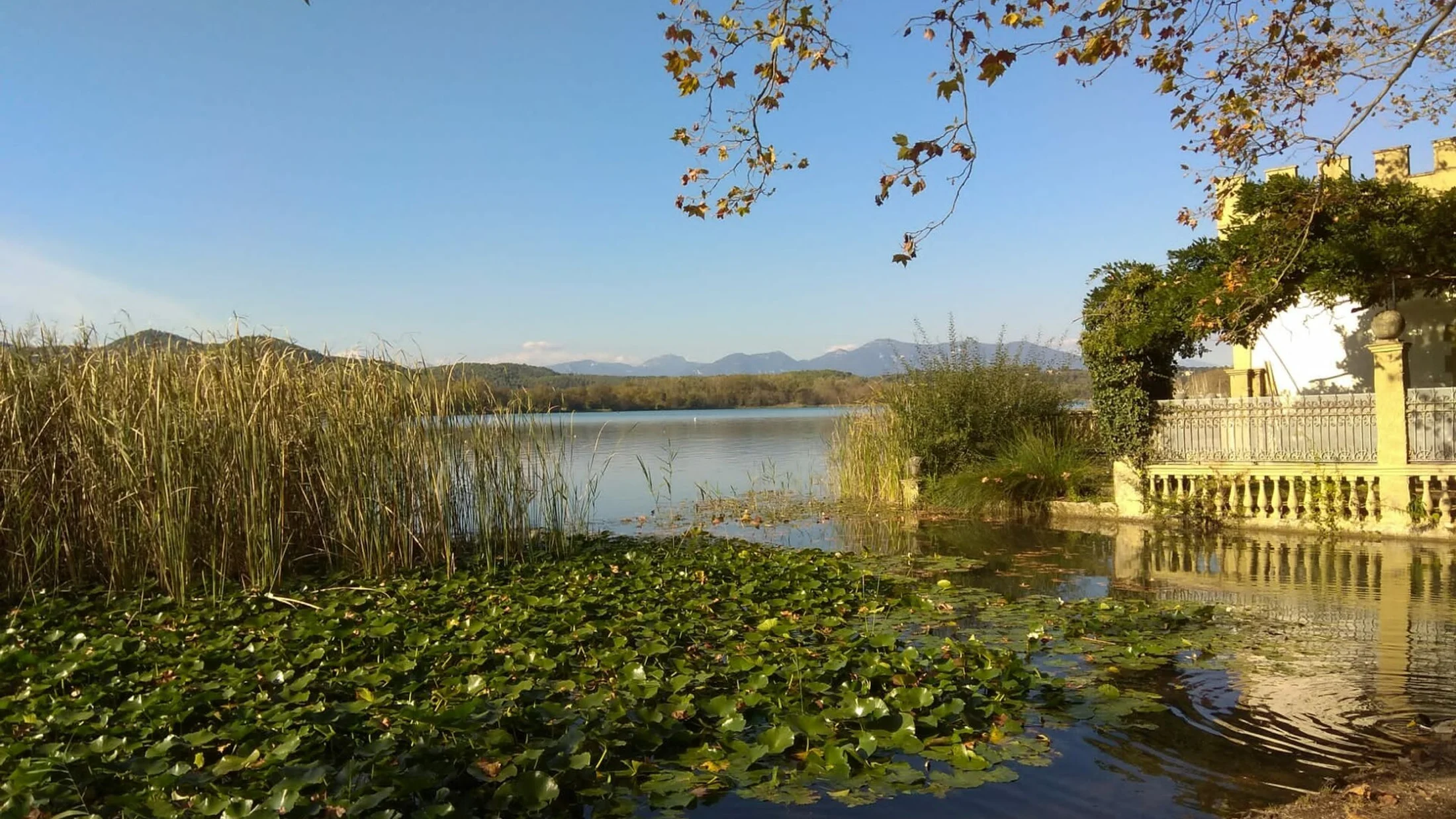 Lake Banyoles, just a few kilometers from the estate.