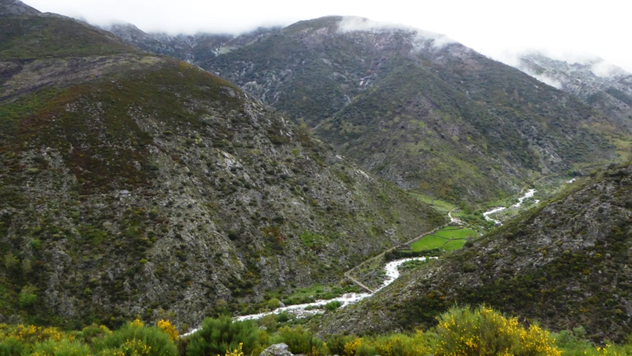 Imagen de Región: cmnp77h77014s10vy1q8hh6ay