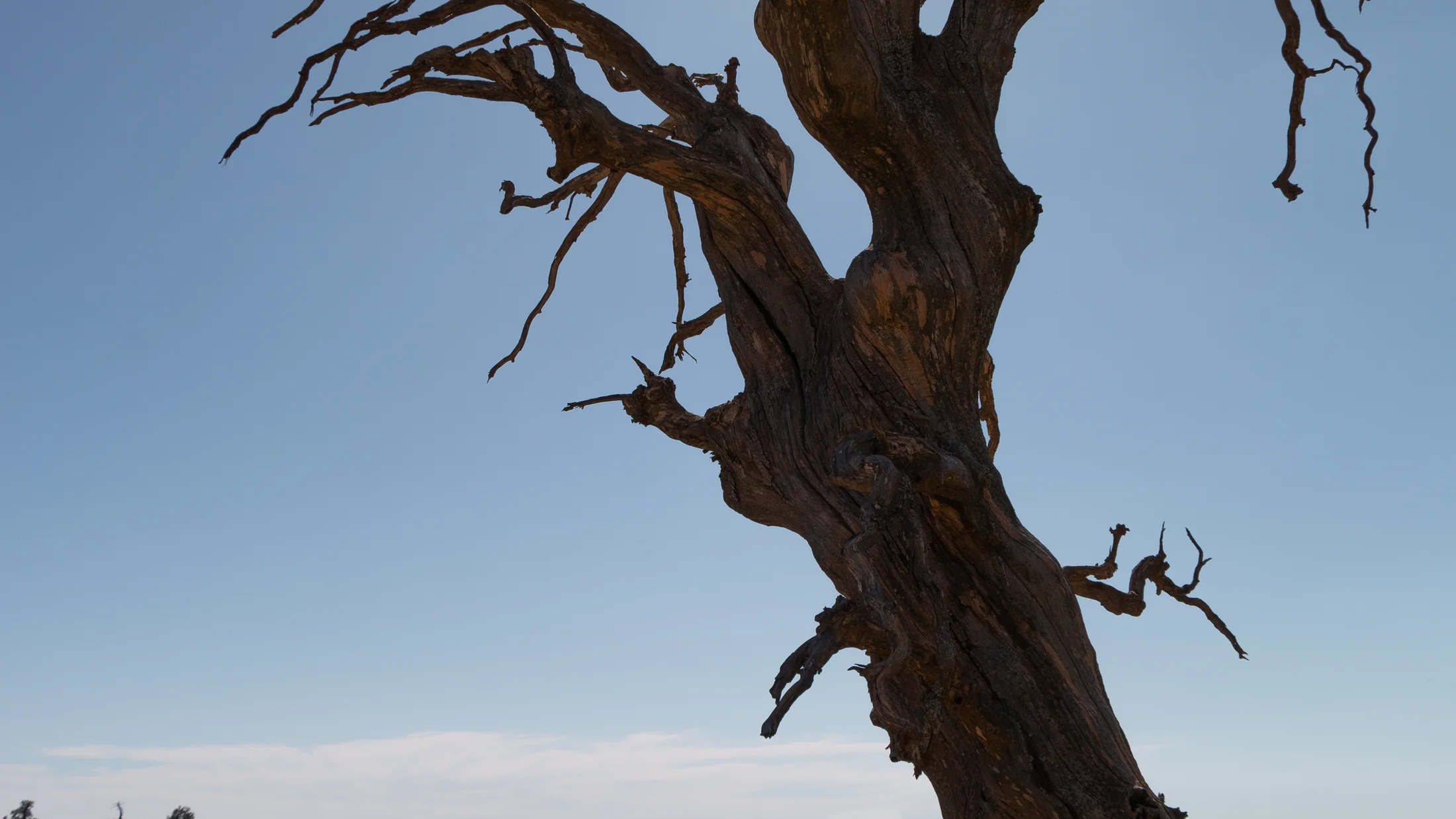 Imagen de Región: cmcjdd06y003xik8p12ini635