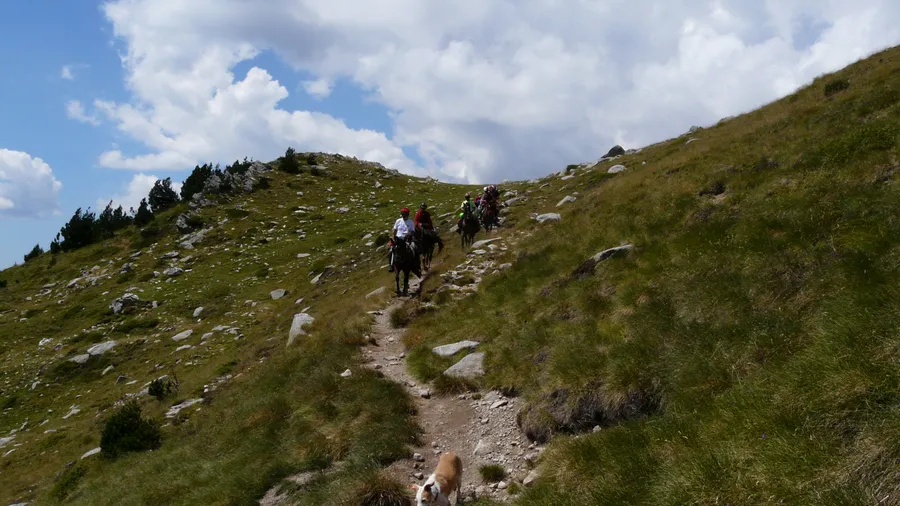Rutas a caballo en el entorno natural de Barcelona