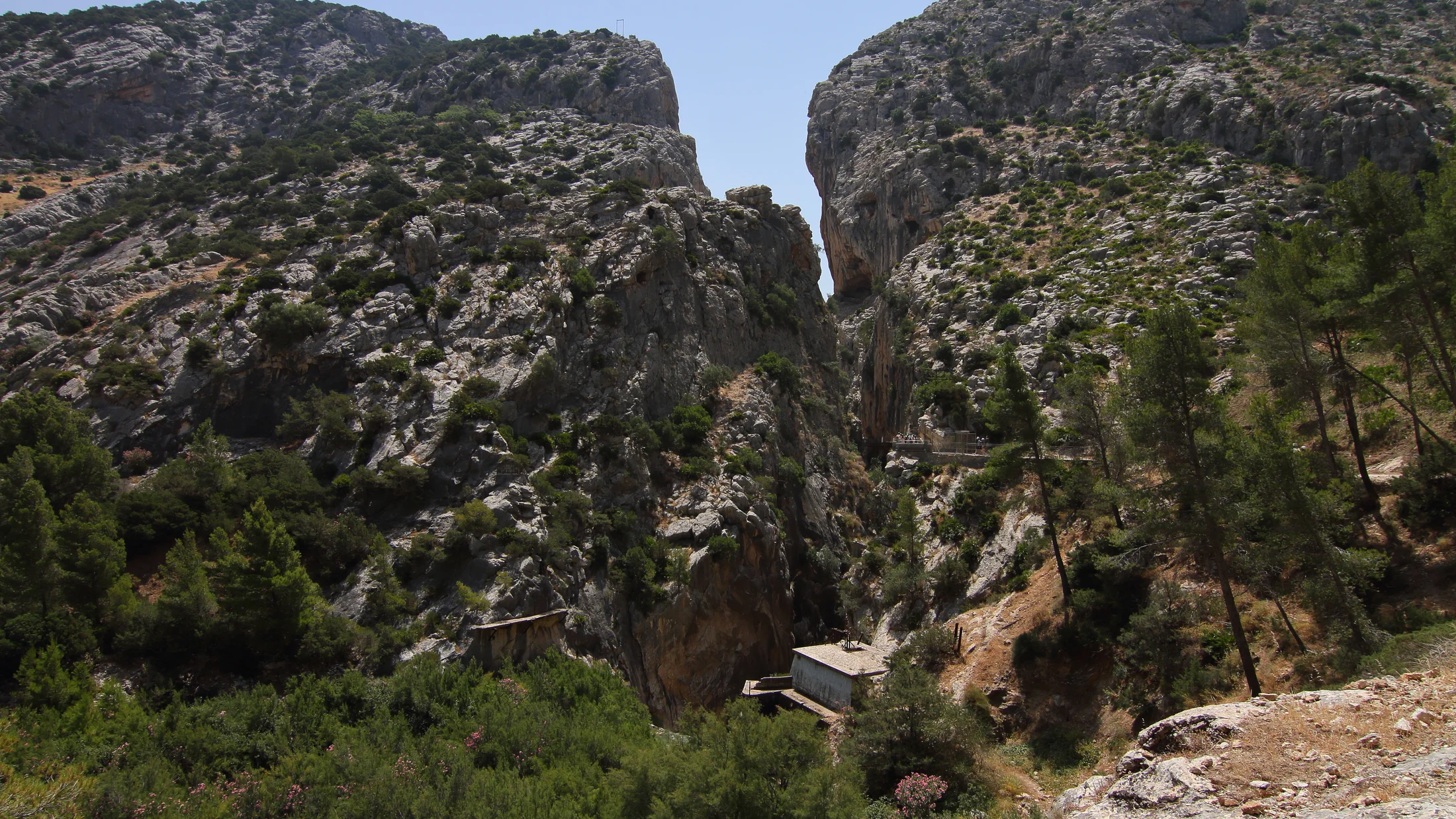 Imagen de Región: cmcjdd1mp004hik8p300d57hi