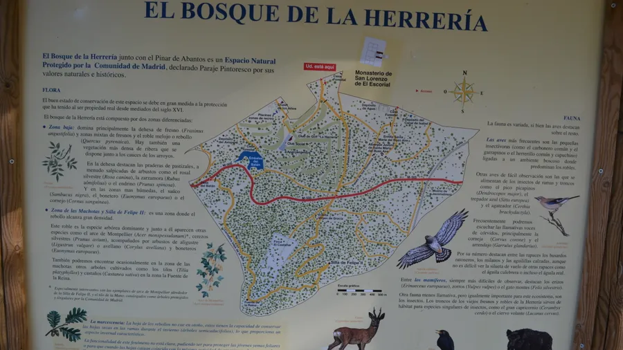 Bosque de la Herrería, un lugar ideal para escapadas cerca de Madrid.