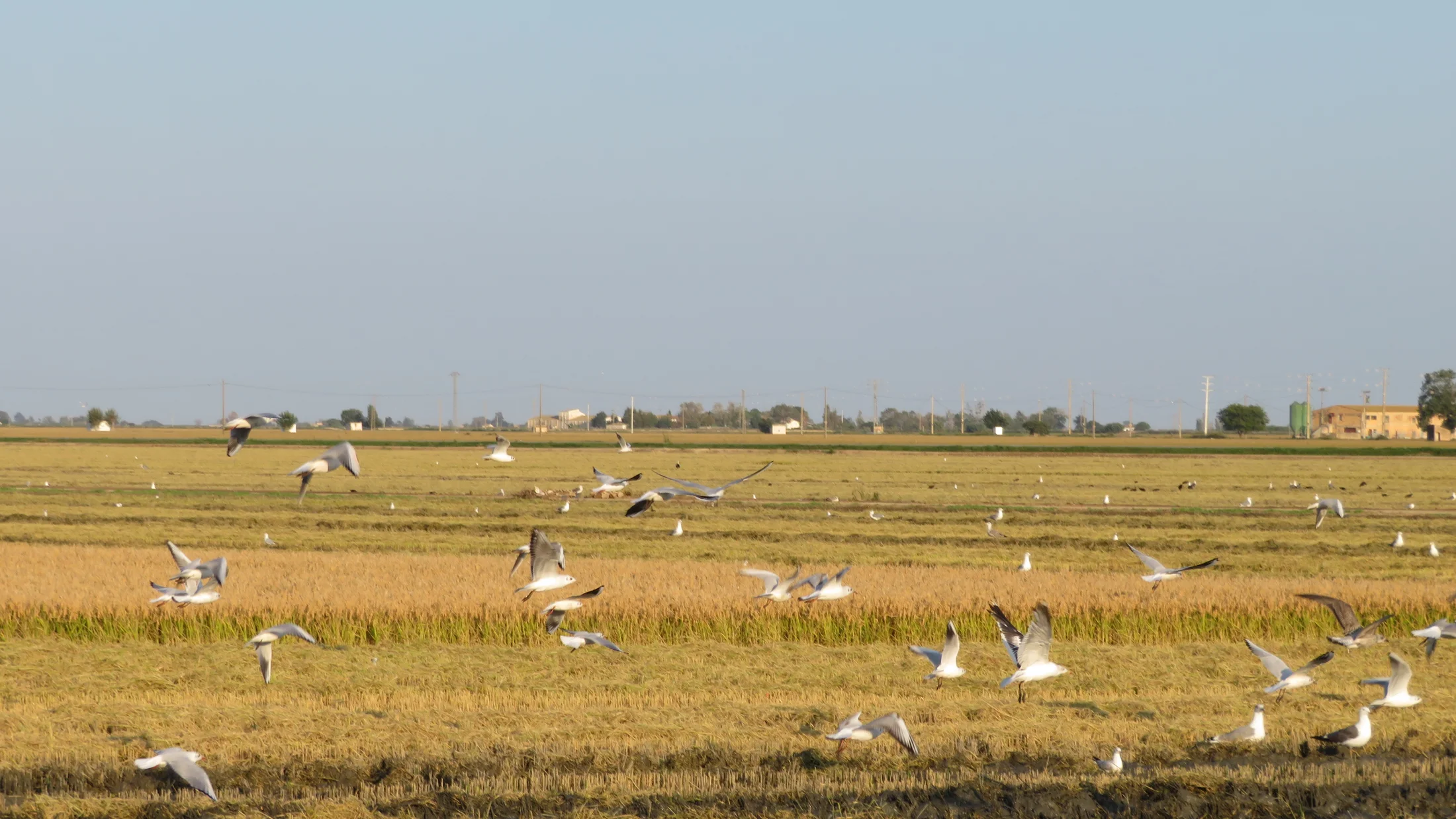 Imagen de Región: cmcja7bf4002iphyjjt0exht4