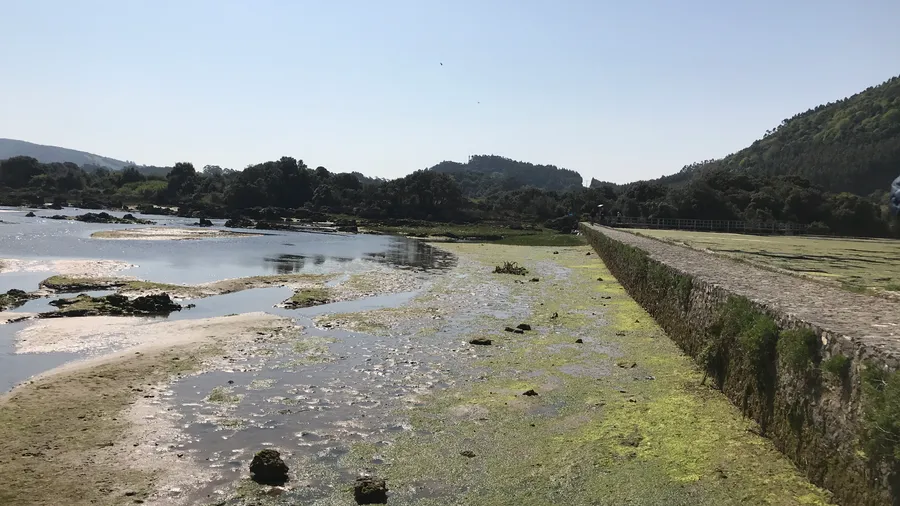 Imagen de Región: cmcjdd6q0006dik8p9tkw4jnq