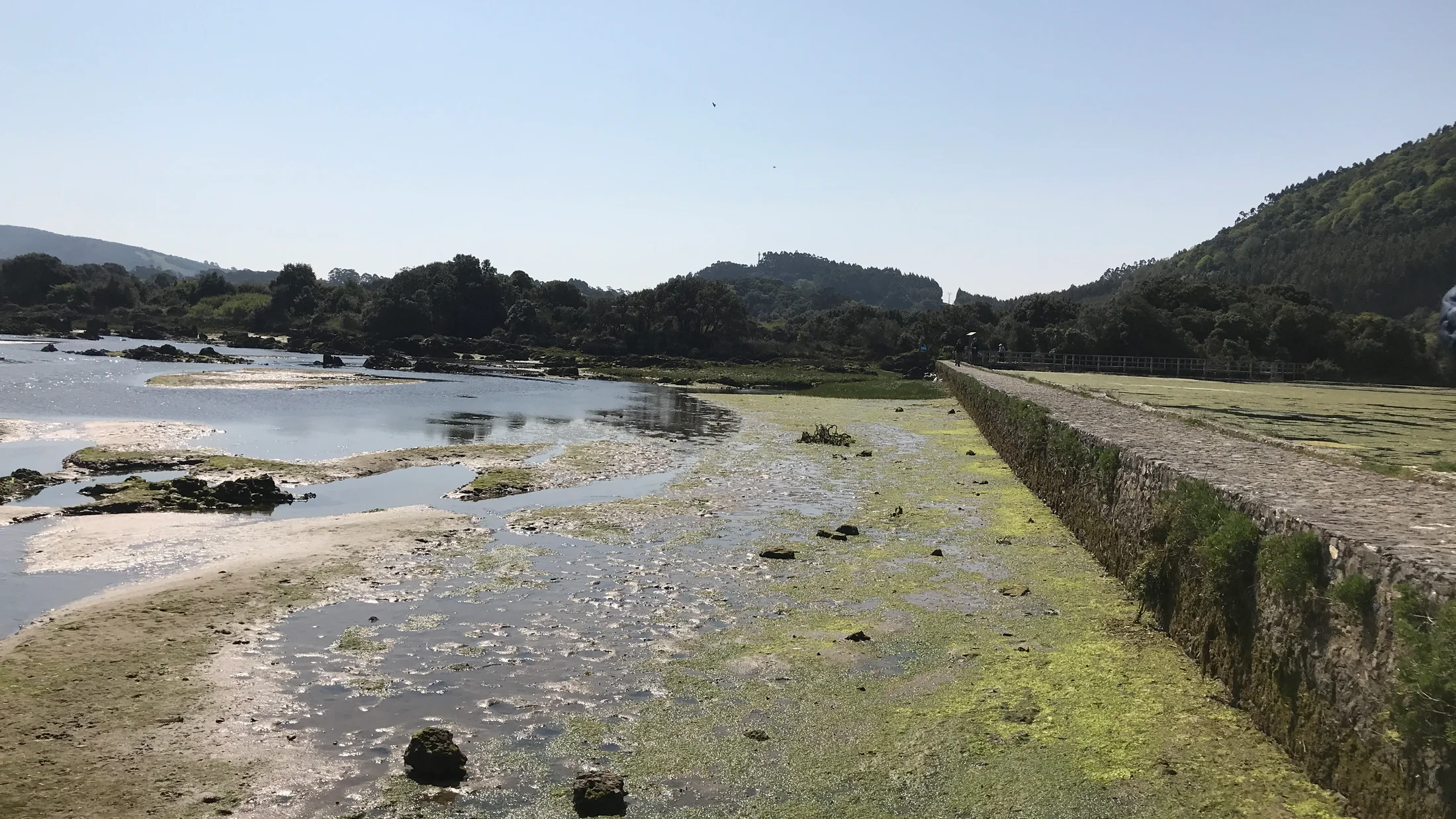 Imagen de Región: cmcjdd6q0006dik8p9tkw4jnq