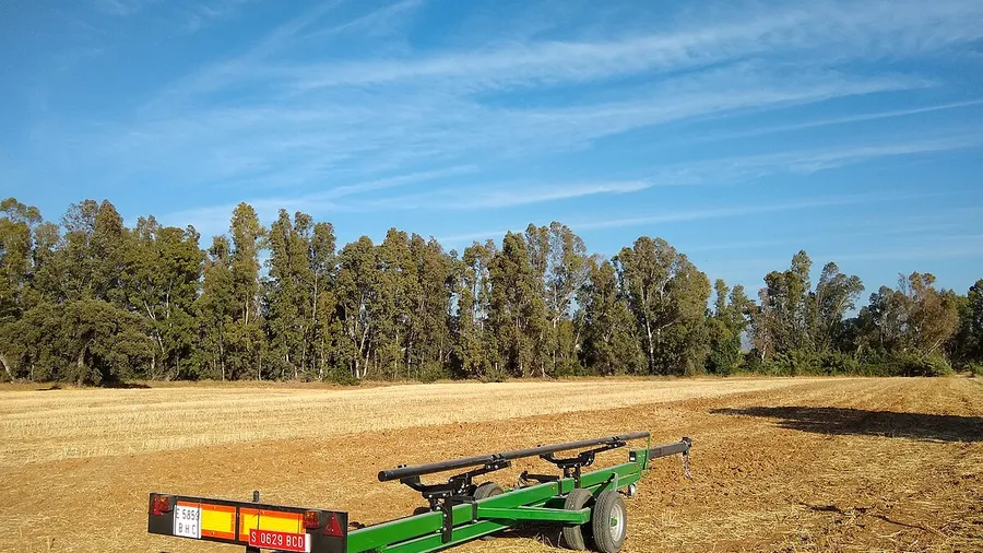 Bollullos de la Mitación