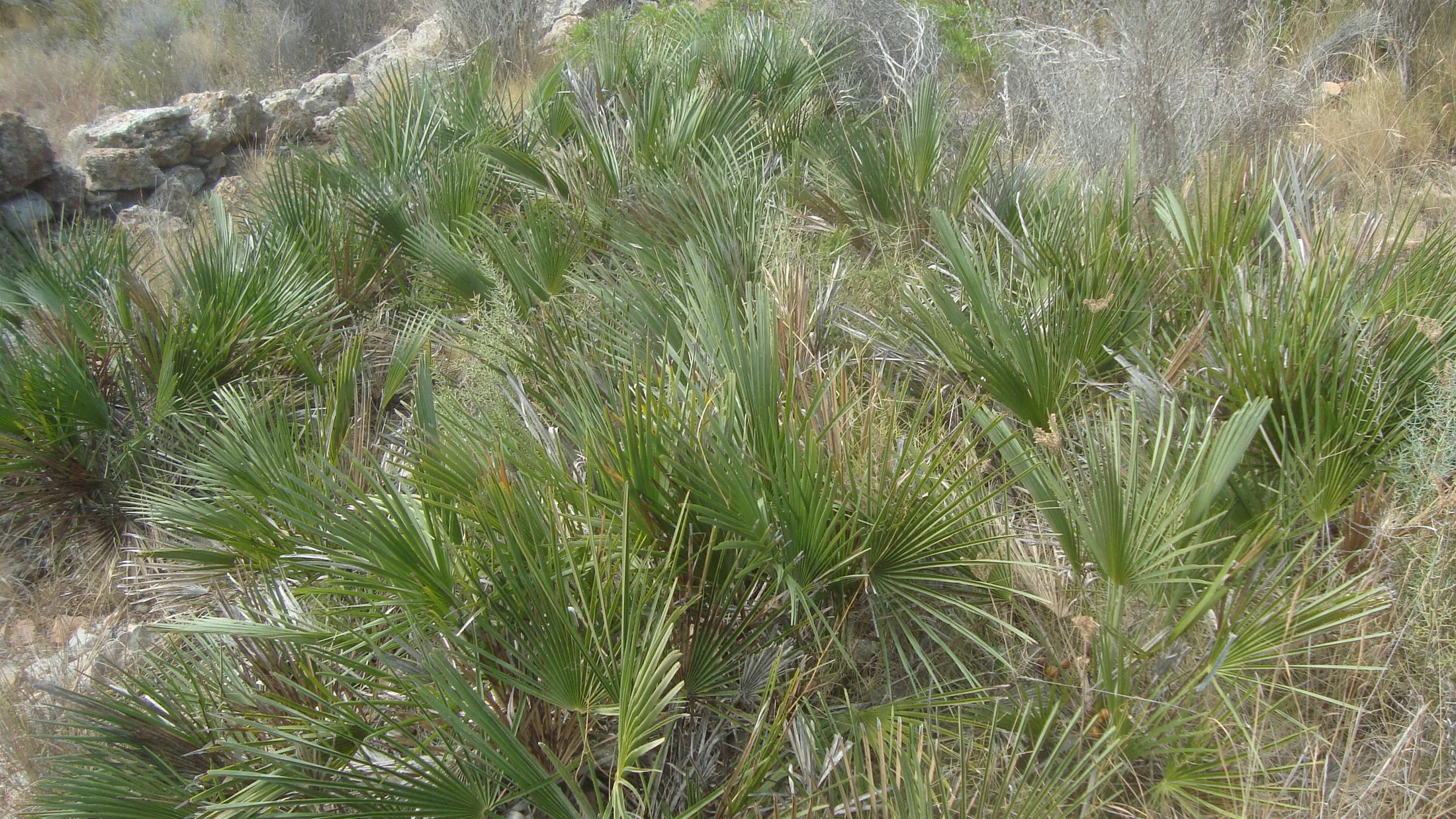 Imagen de Región: cmcjb296f0019ik8pv0vjue0l