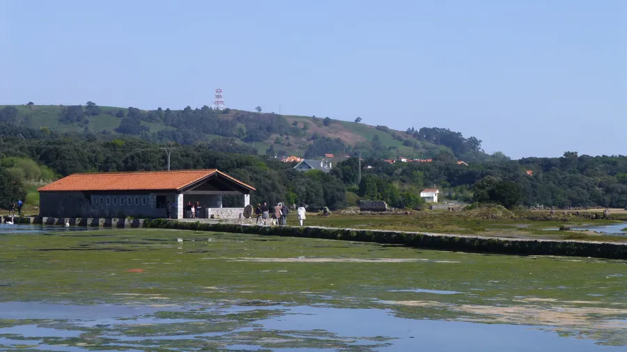 Imagen de Región: cmcjdd6q0006dik8p9tkw4jnq