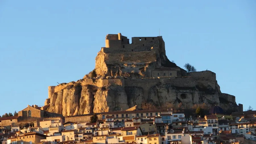 Morella
