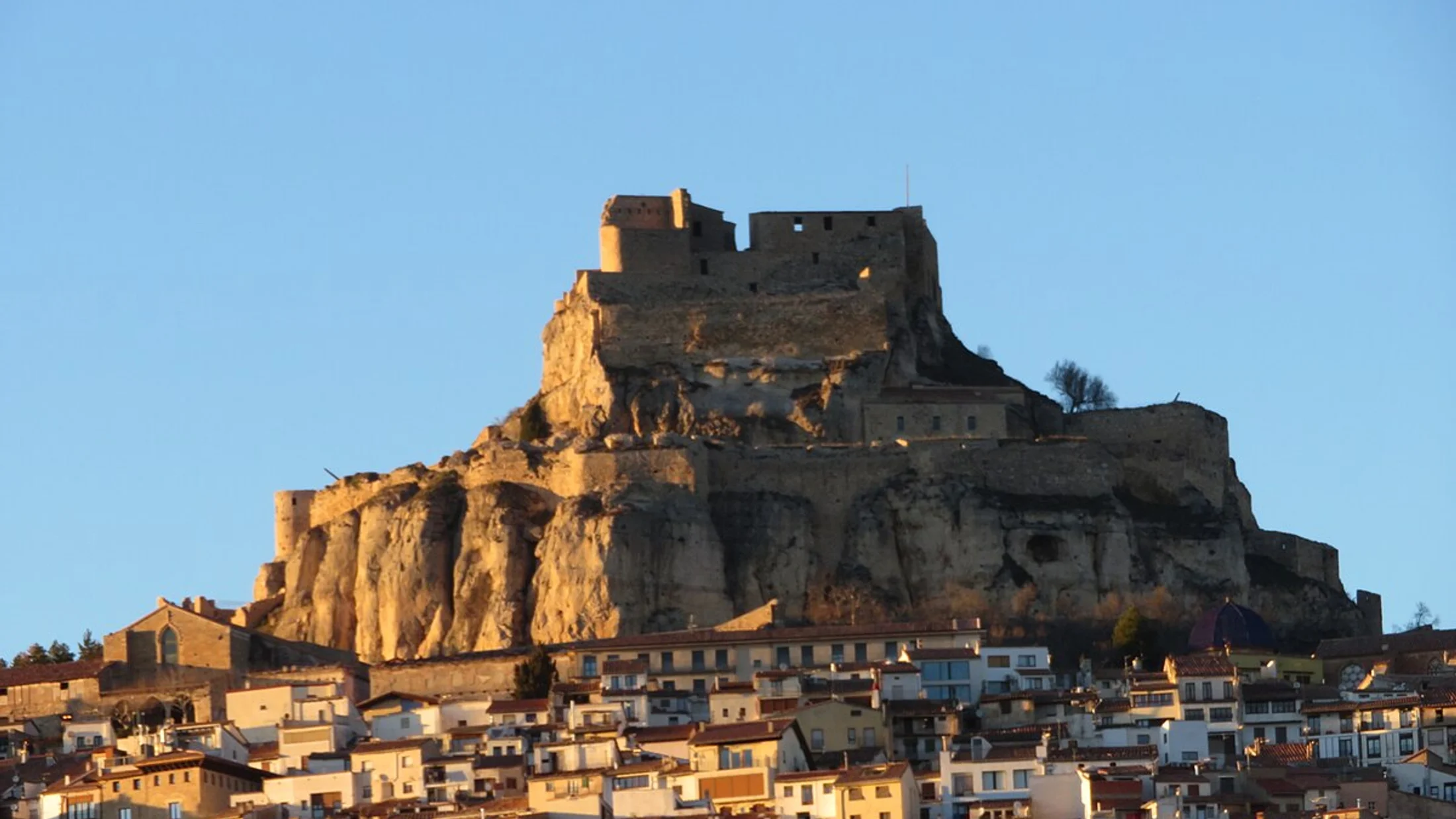 Morella