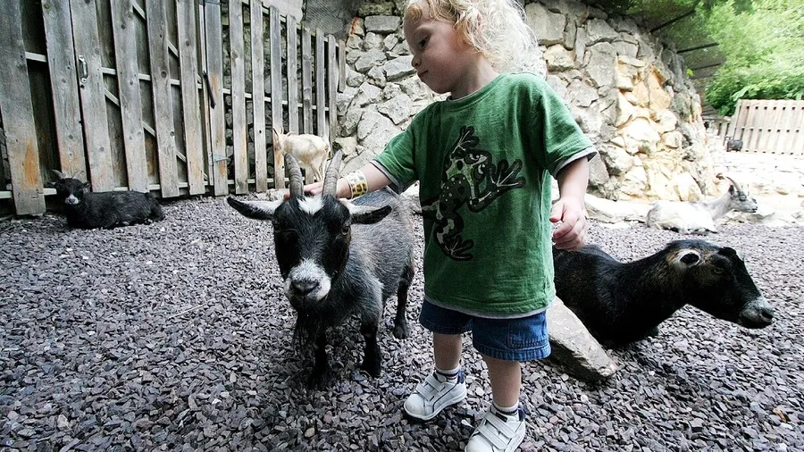 Imagen de Artículo de Blog: 5 granjas para niños cerca de Barcelona con horarios, precios y consejos para tu visita.