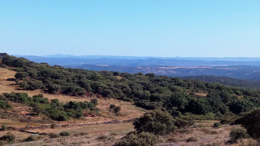 Imagen de Artículo de Blog: Turismo activo en Extremadura: dehesas, parques naturales y naturaleza sin multitudes en 10 experiencias