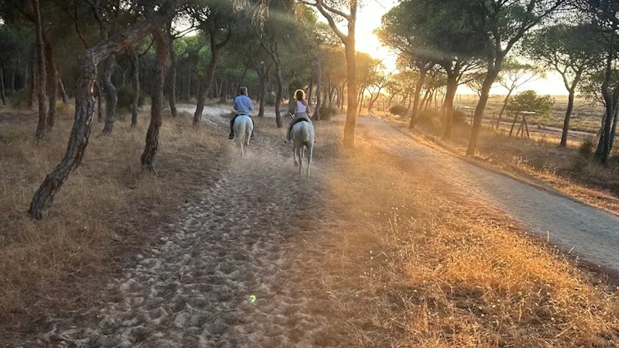Ruta a caballo por la playa de Islantilla e Isla Cristina