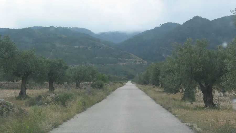 Parque Natural de la Sierra de Salinas