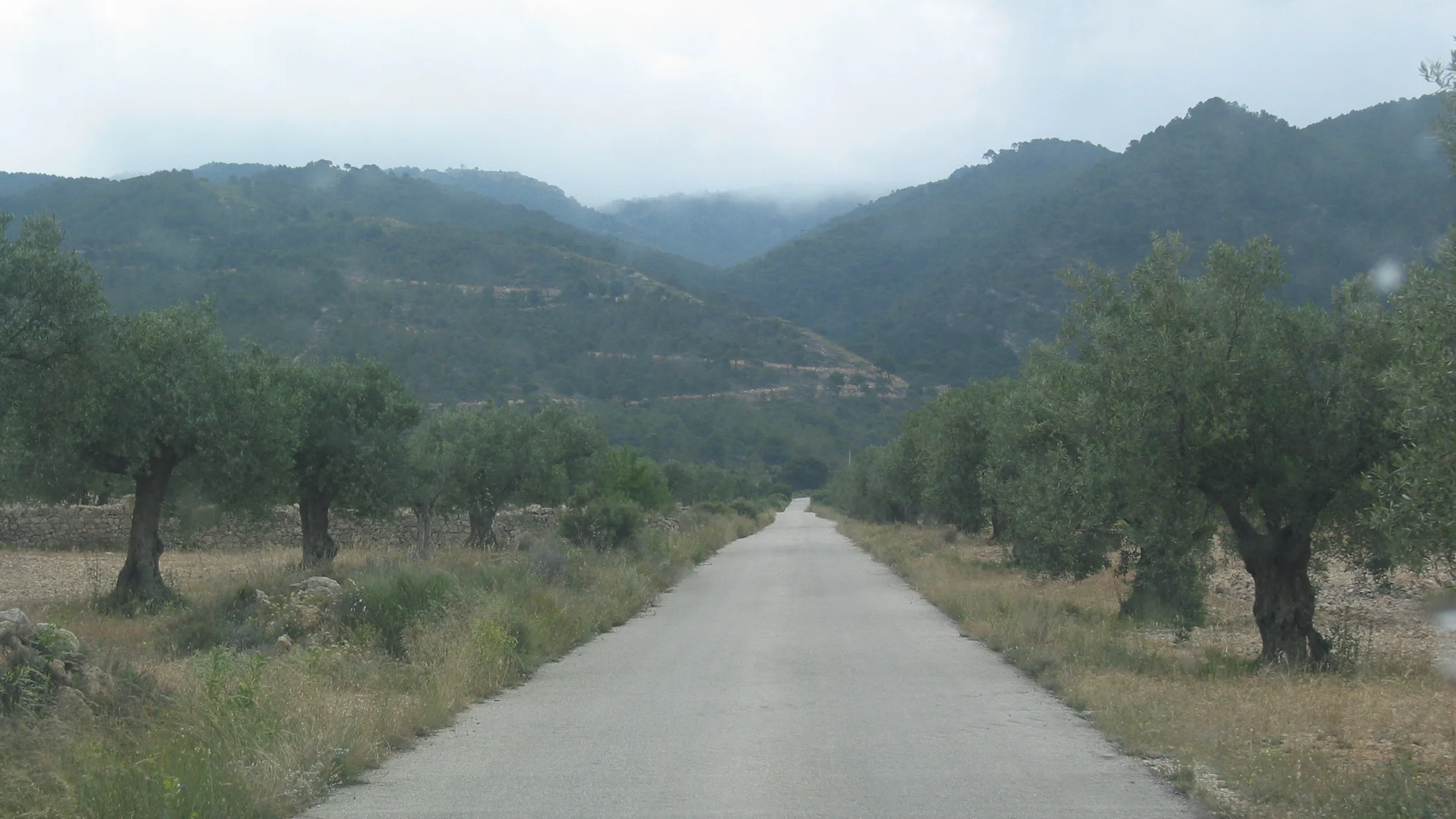 Imagen de Región: cmcnc9gyv0hhtzr5p0pc5jcpy