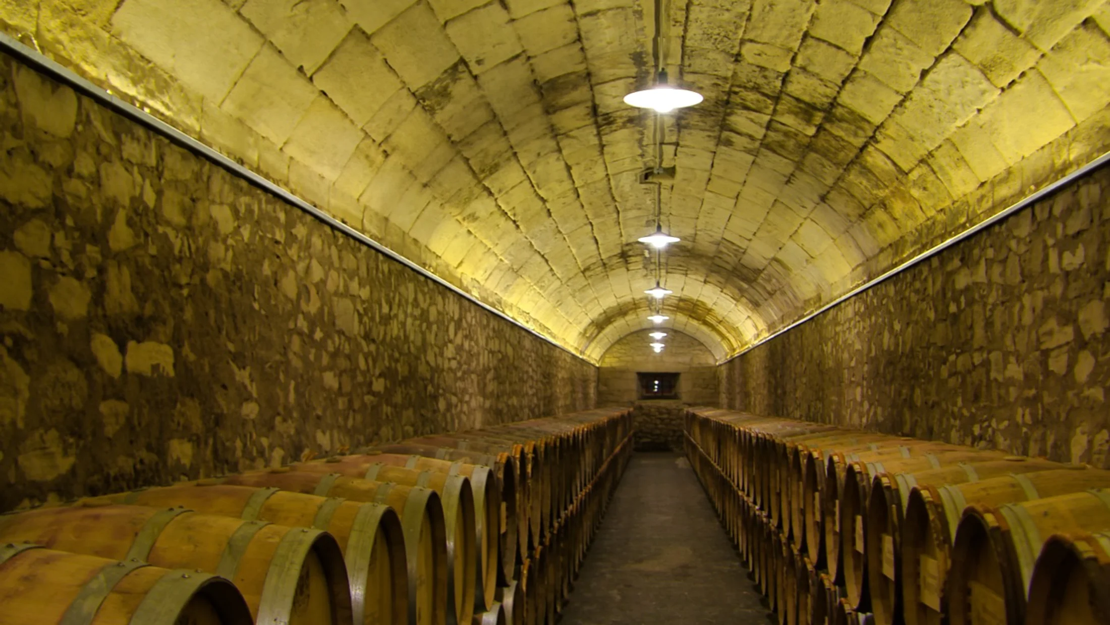 Imagen de Artículo de Blog: cmgz76w3v006h9i0u861kgwbc