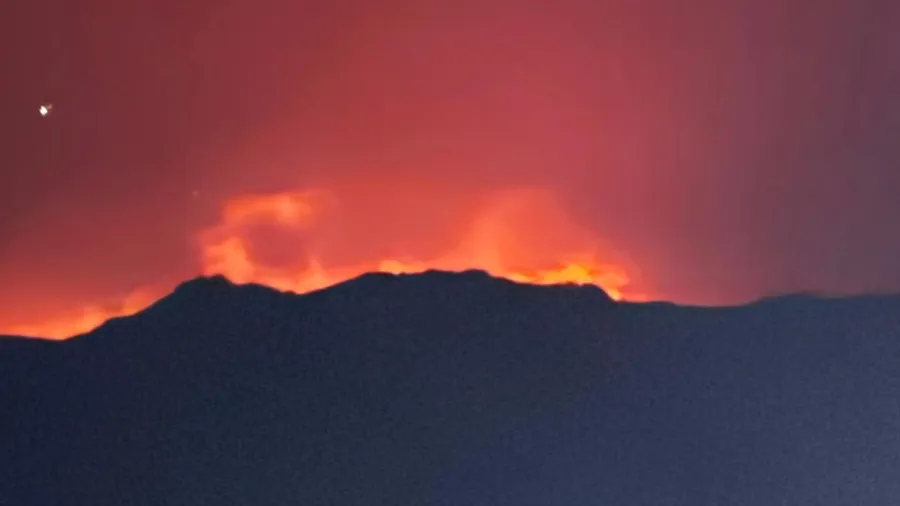 Guided e-bike tour through the Sierra Oeste fire area