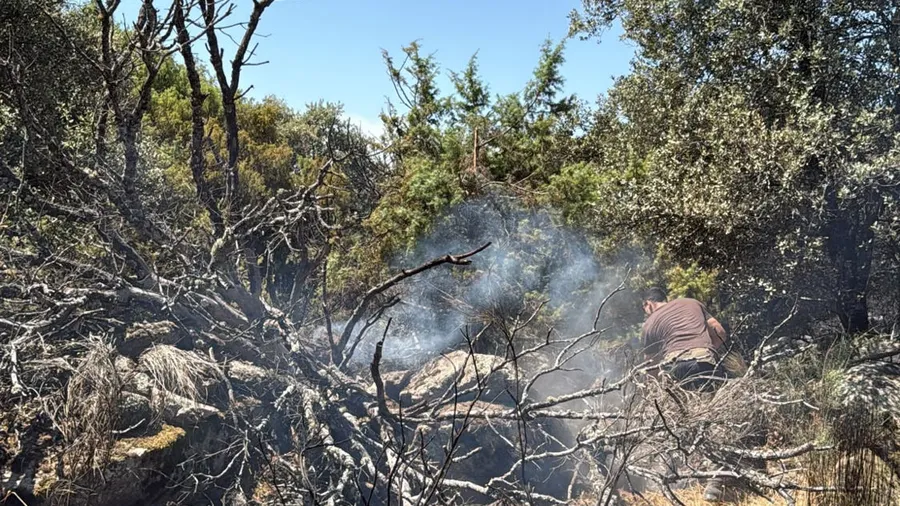 Area burned by the wildfire in the Sierra Oeste, recovering