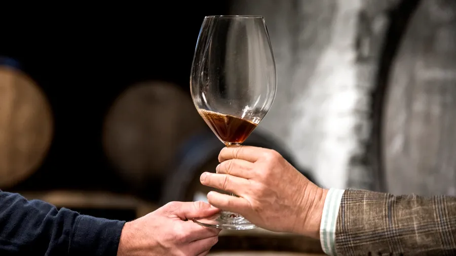 Main image of Wine Cellars Near Madrid: 15 Best Visits and Tastings Close to the Capital