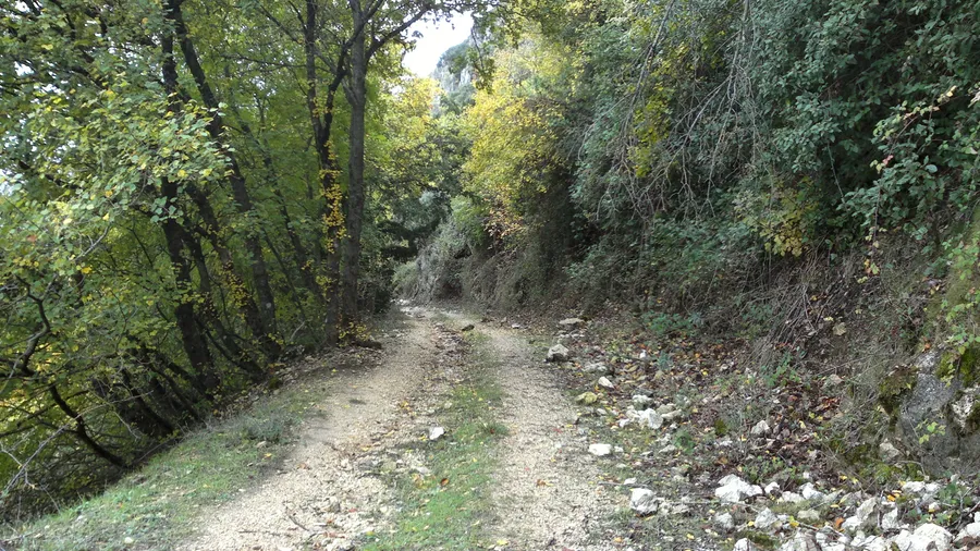 Parque Natural del Carrascal de la Font Roja