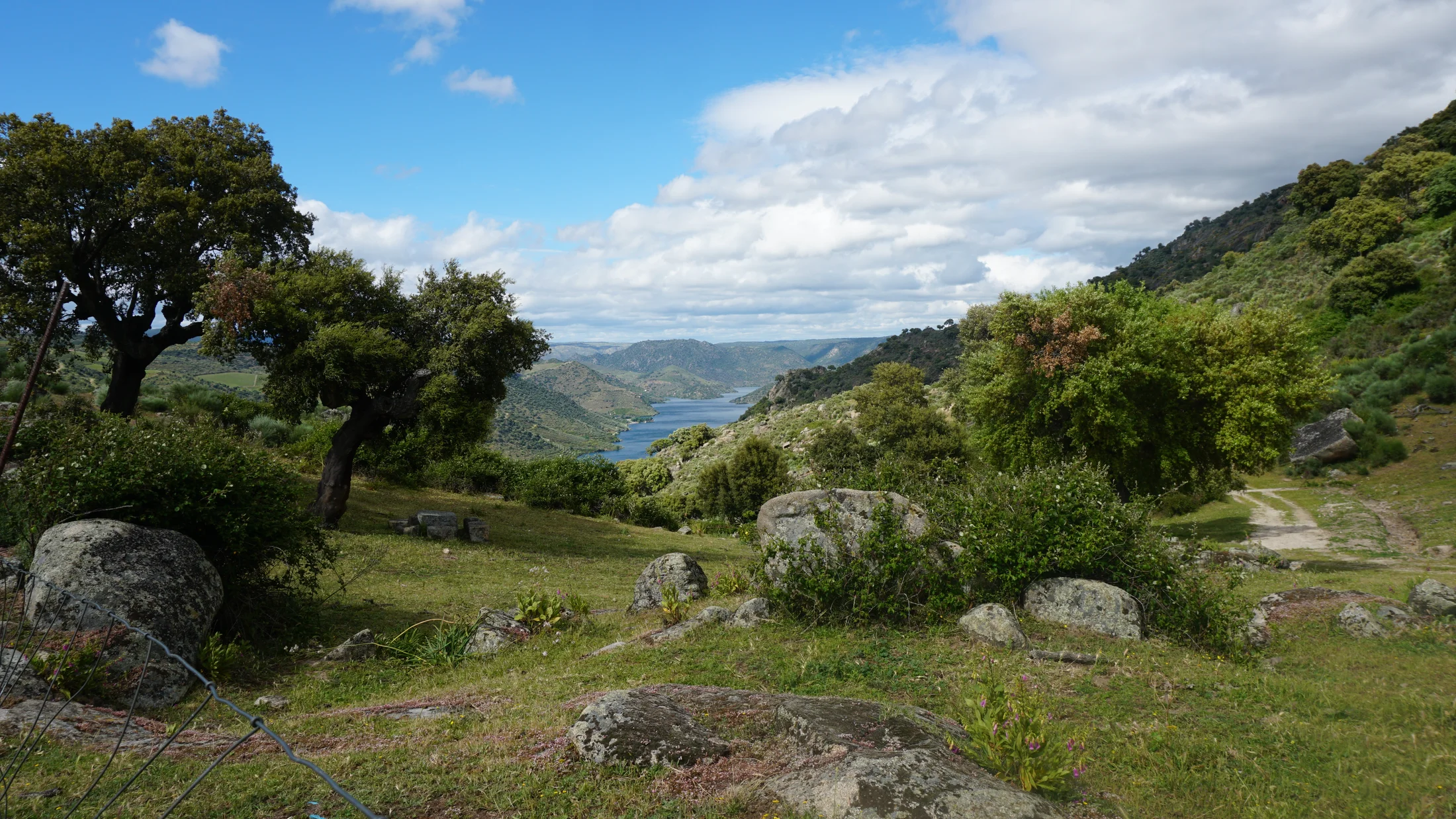 Point de vue sur le Picón del Moro au-dessus du canyon du Duero