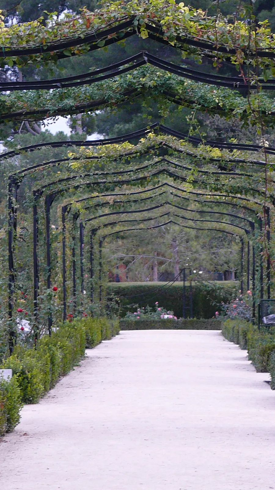 Retiro Rose Garden