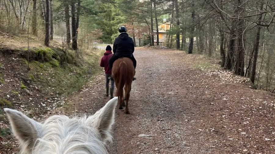 Rutas ecuestres guiadas en Berga, Berguedà