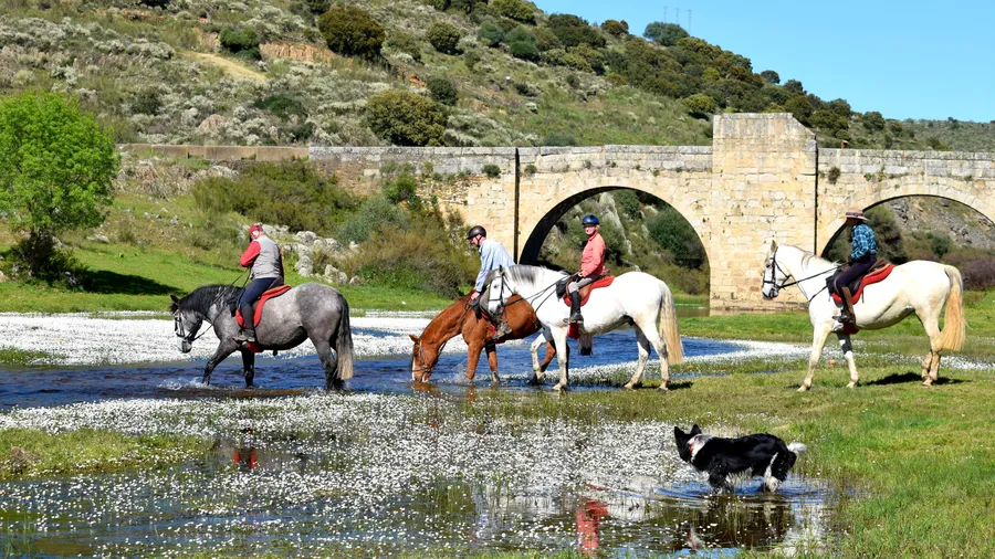 Travesías y expediciones a caballo por España