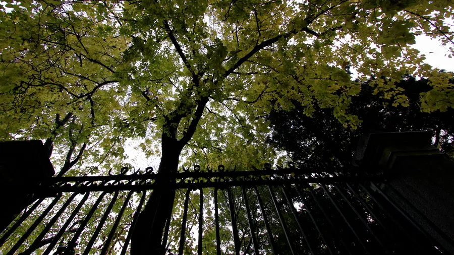 Real Jardín Botánico de Madrid