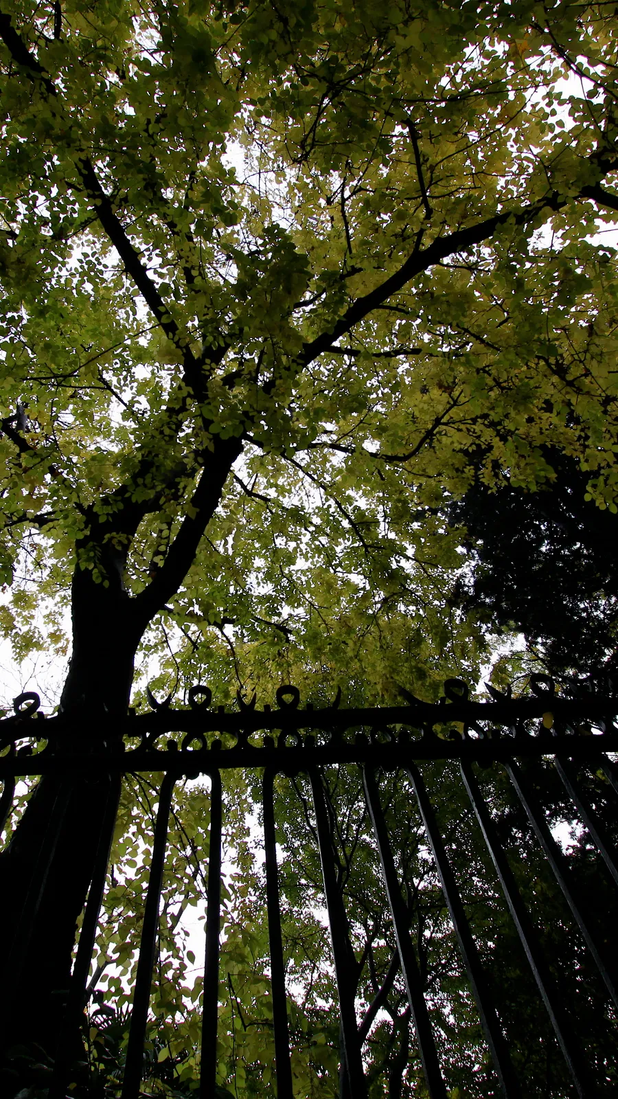 Real Jardín Botánico de Madrid