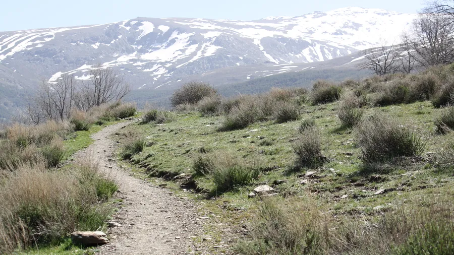 Imagen de Artículo de Blog: Despedidas de aventura en Granada más allá del tapeo: 8 experiencias al aire libre