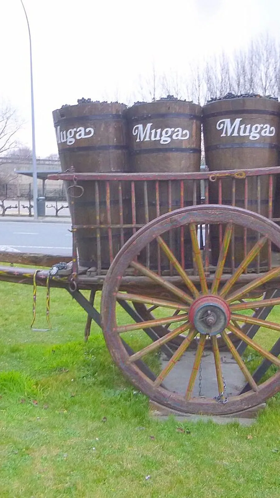 Bodegas Muga