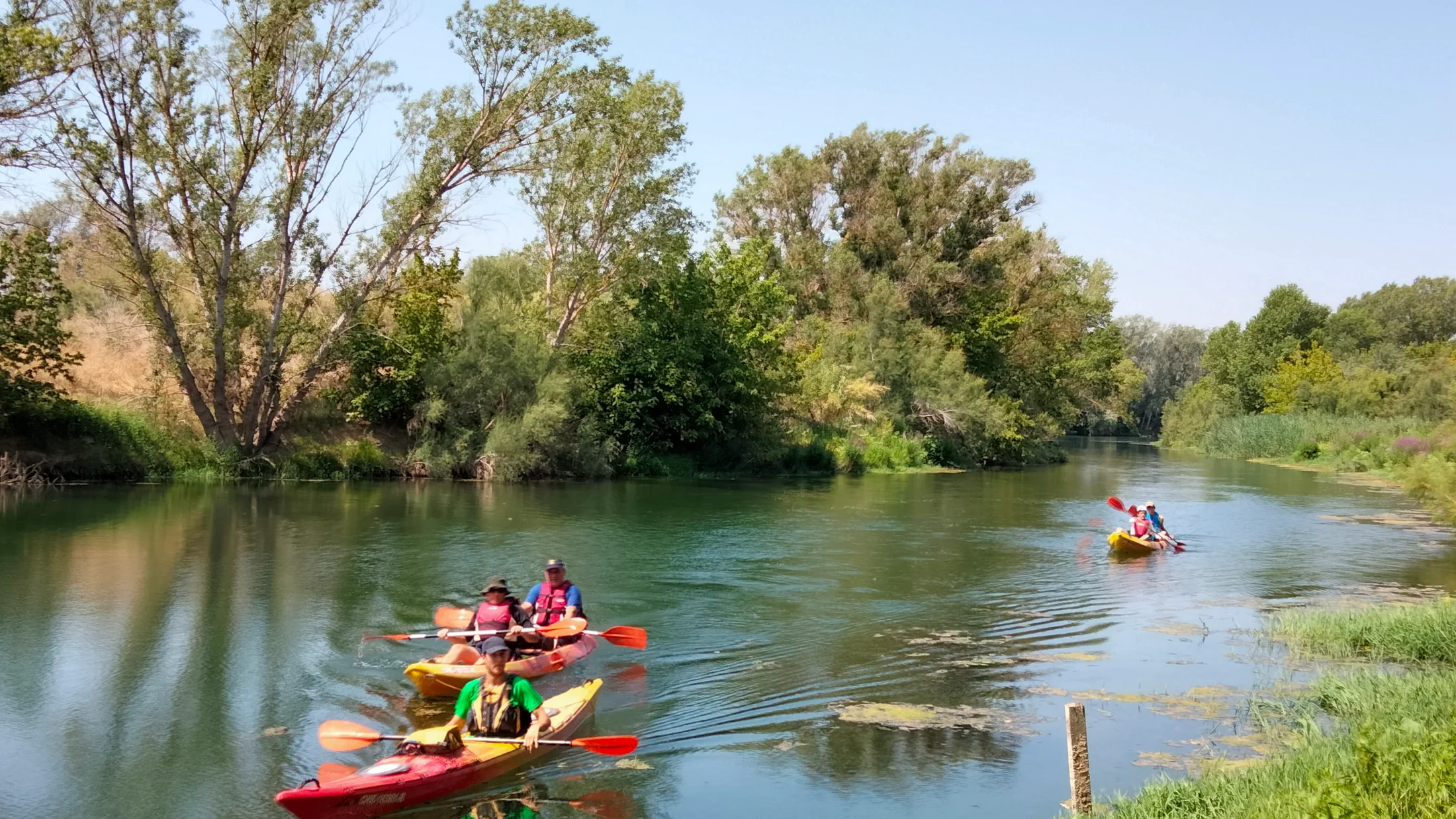 Kayaks descending the Ebro with the Benissanet island in the background, Tarragona