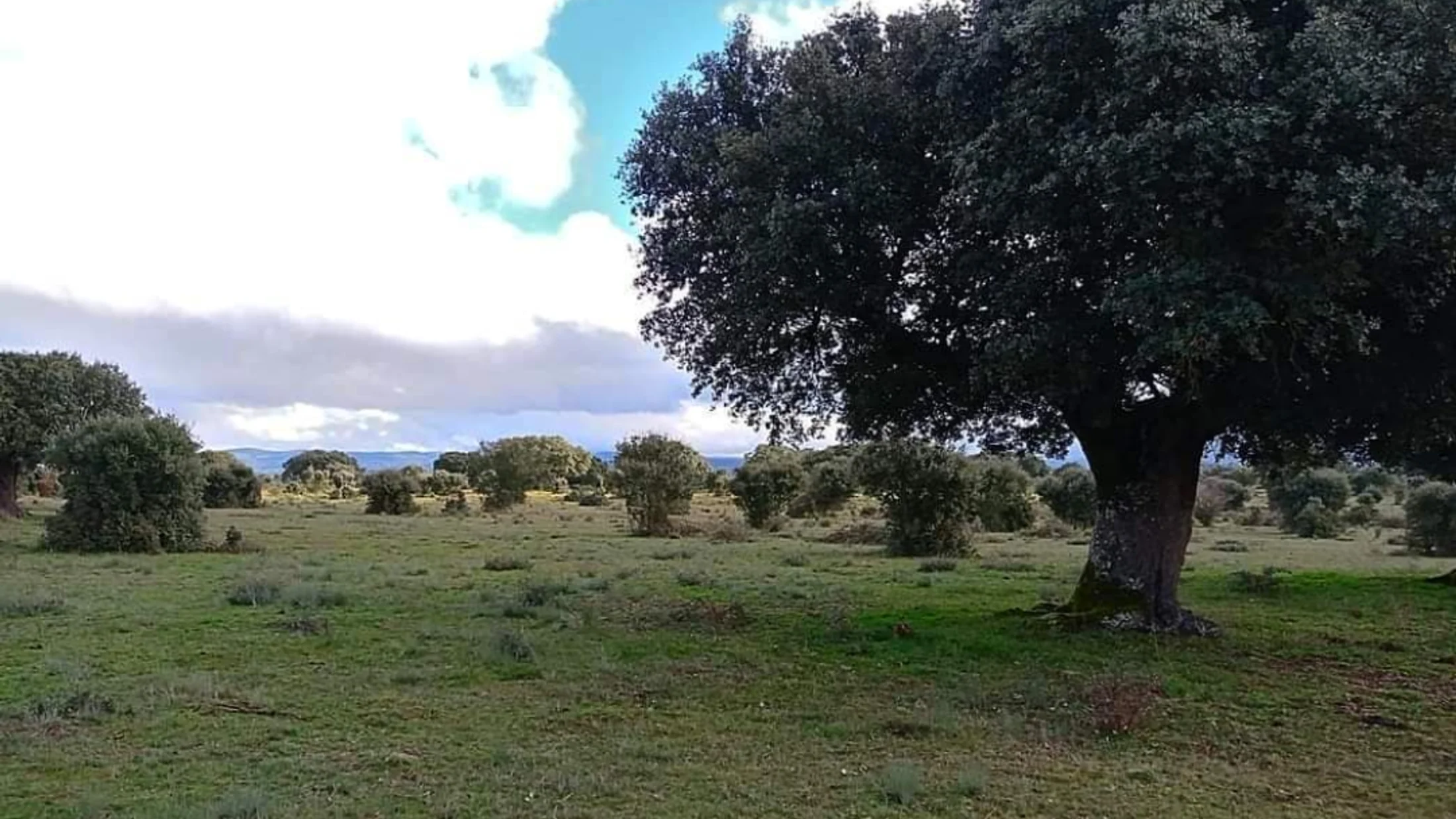 File:Dehesa Encineja.png