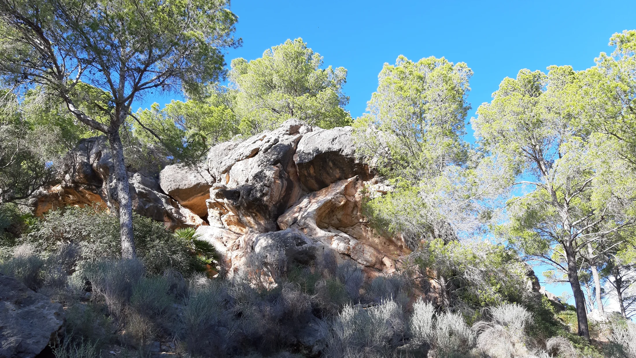 Imagen de Región: cmcncq1do0hyjzr5pwe8ek00r