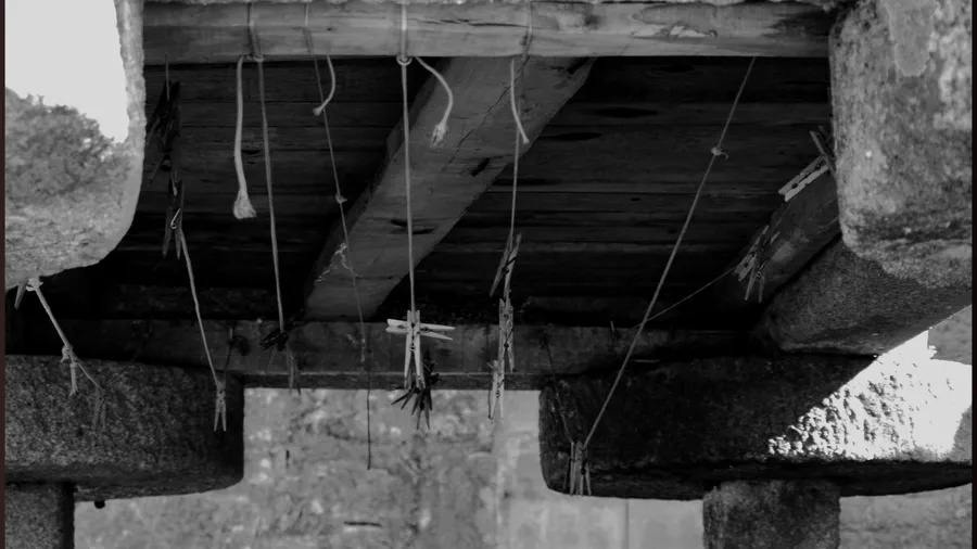 Imagen de Atracción: cmltp0v4409c0u9acaqqzhdu3