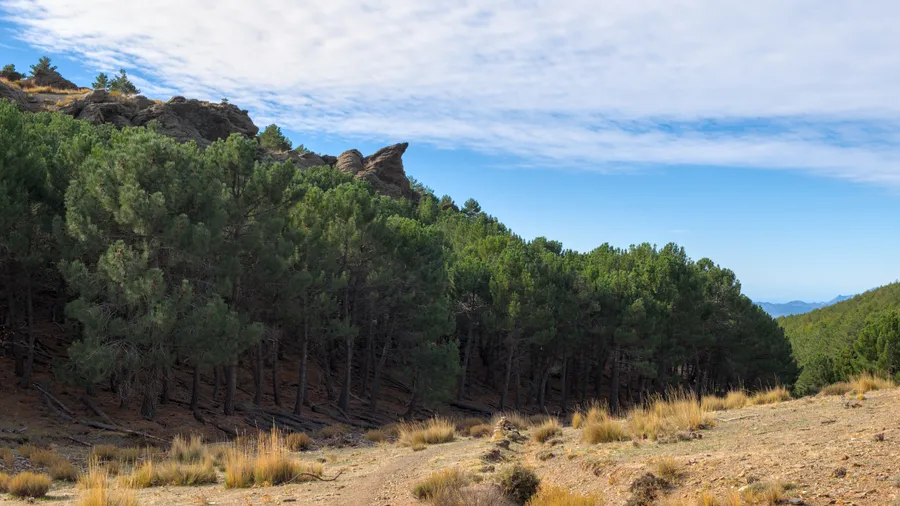 Imagen de Artículo de Blog: Senderismo cerca de Granada: 10 rutas entre Sierra Nevada, el Genil y la Alpujarra