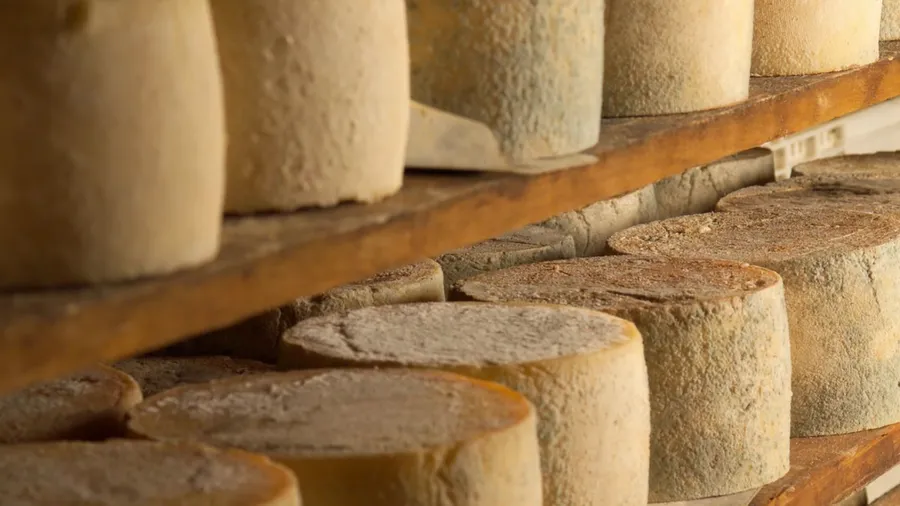 Imagen de Artículo de Blog: Los quesos artesanos de España que solo encontrarás en origen