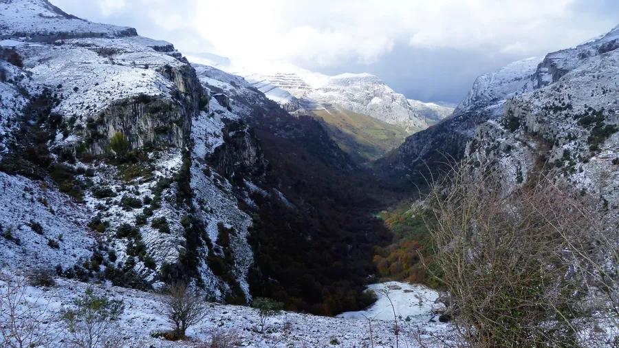 Imagen de Región: cmcjdd7m6006pik8p8rcwwlcn