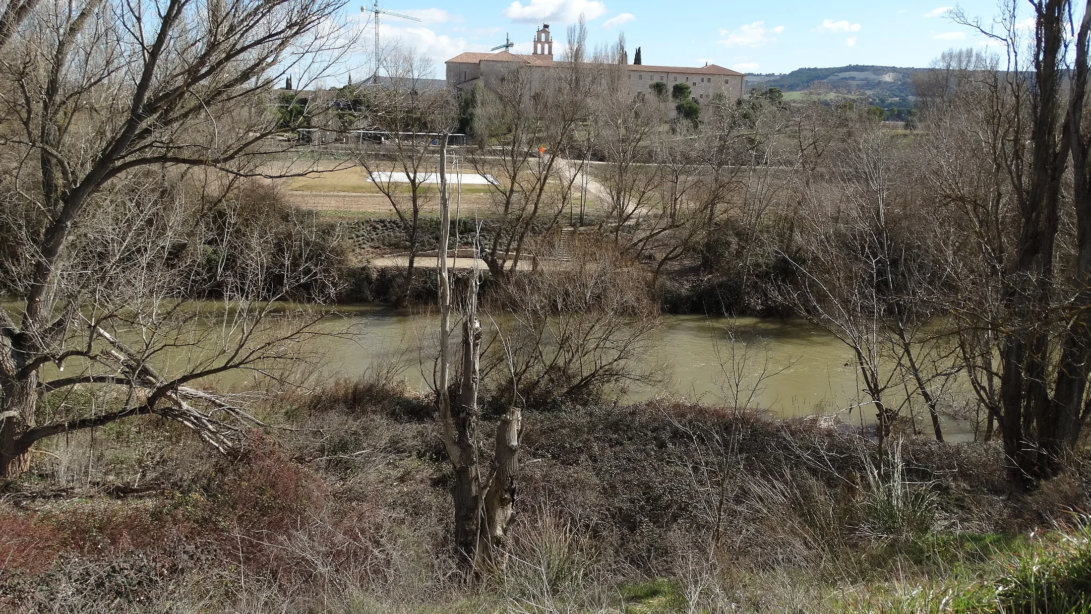 Imagen de Artículo de Blog: cmgz7t743007e9i0uq87j2kr8