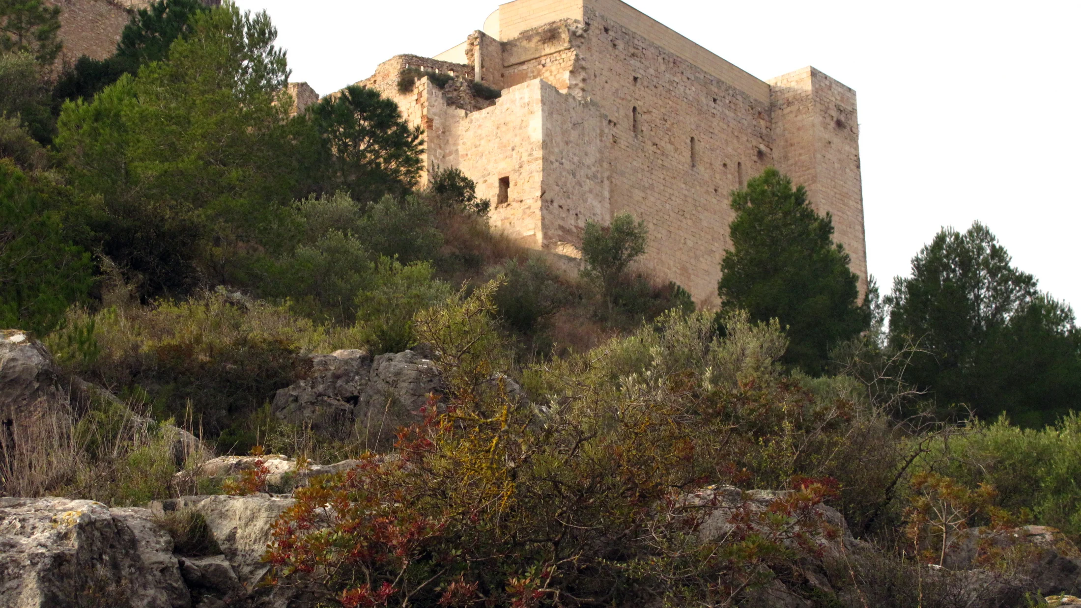 Templar castle of Miravet, overlooking the course of the Ebro River.