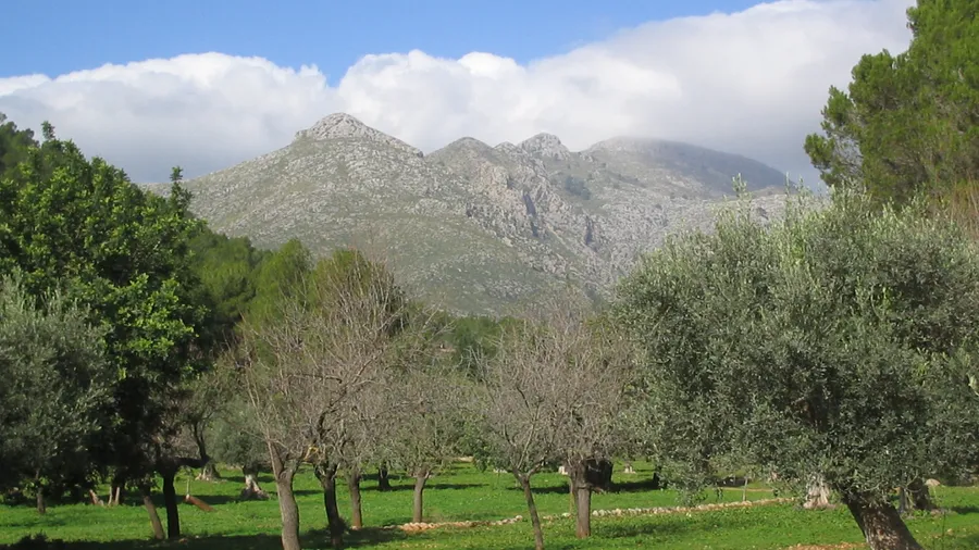 Sierra de Tramuntana