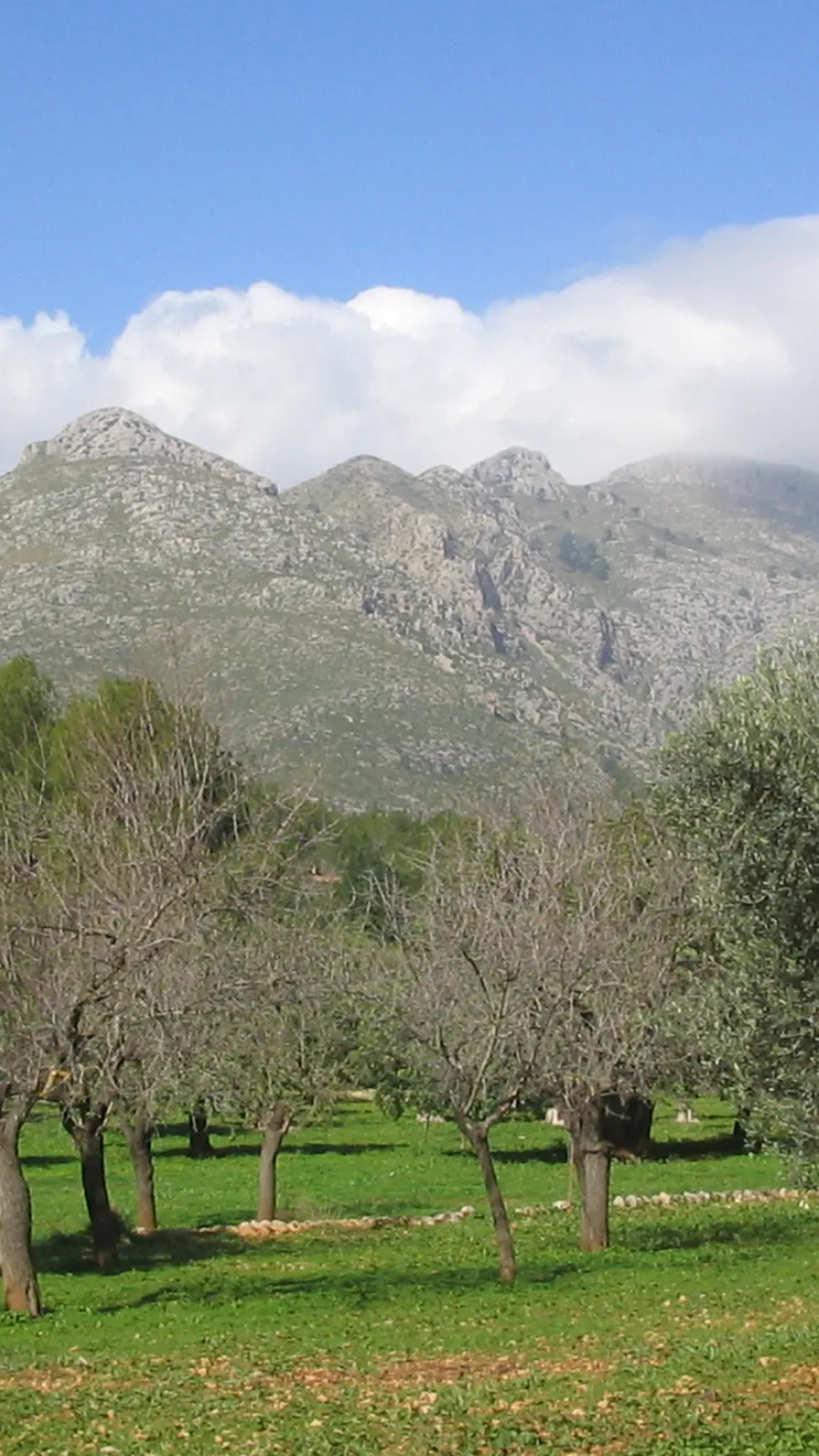 Sierra de Tramuntana