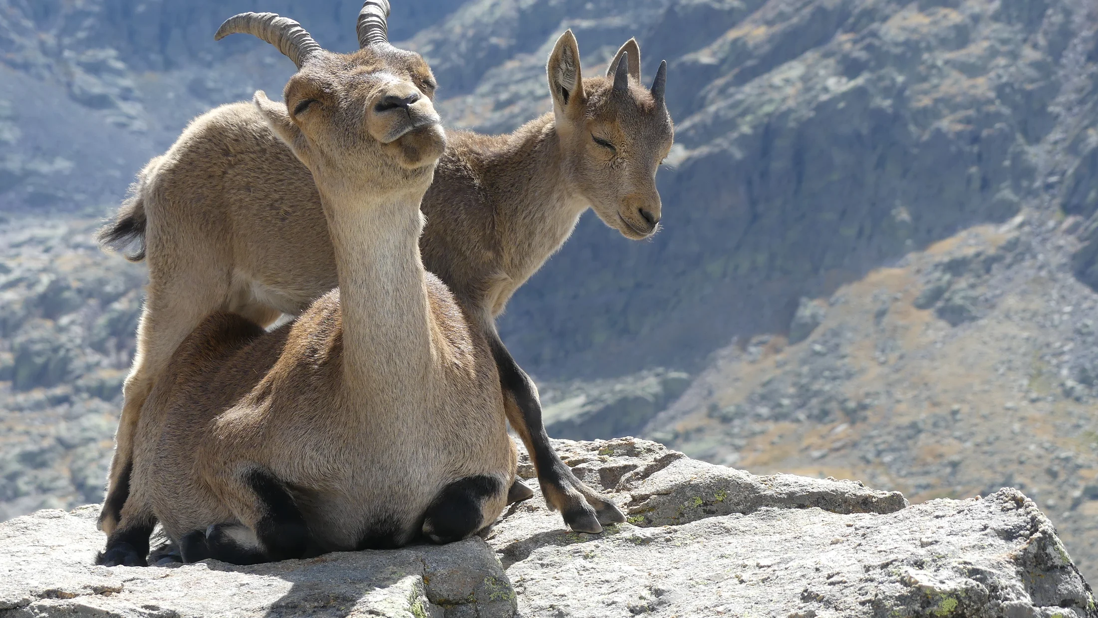 Imagen de Artículo de Blog: cmo4hidv0000xfc2gjvgah3go