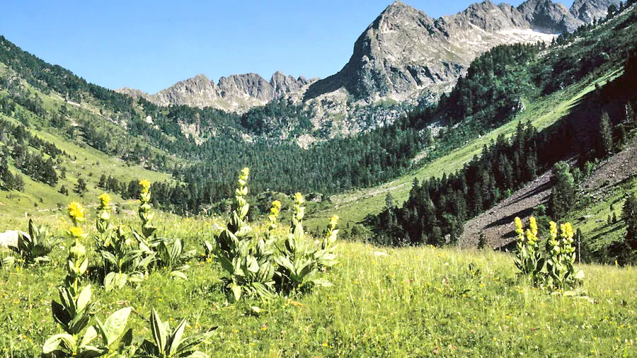 Imagen de Región: cmcncpt7g0hvfzr5p4k5ed6ex