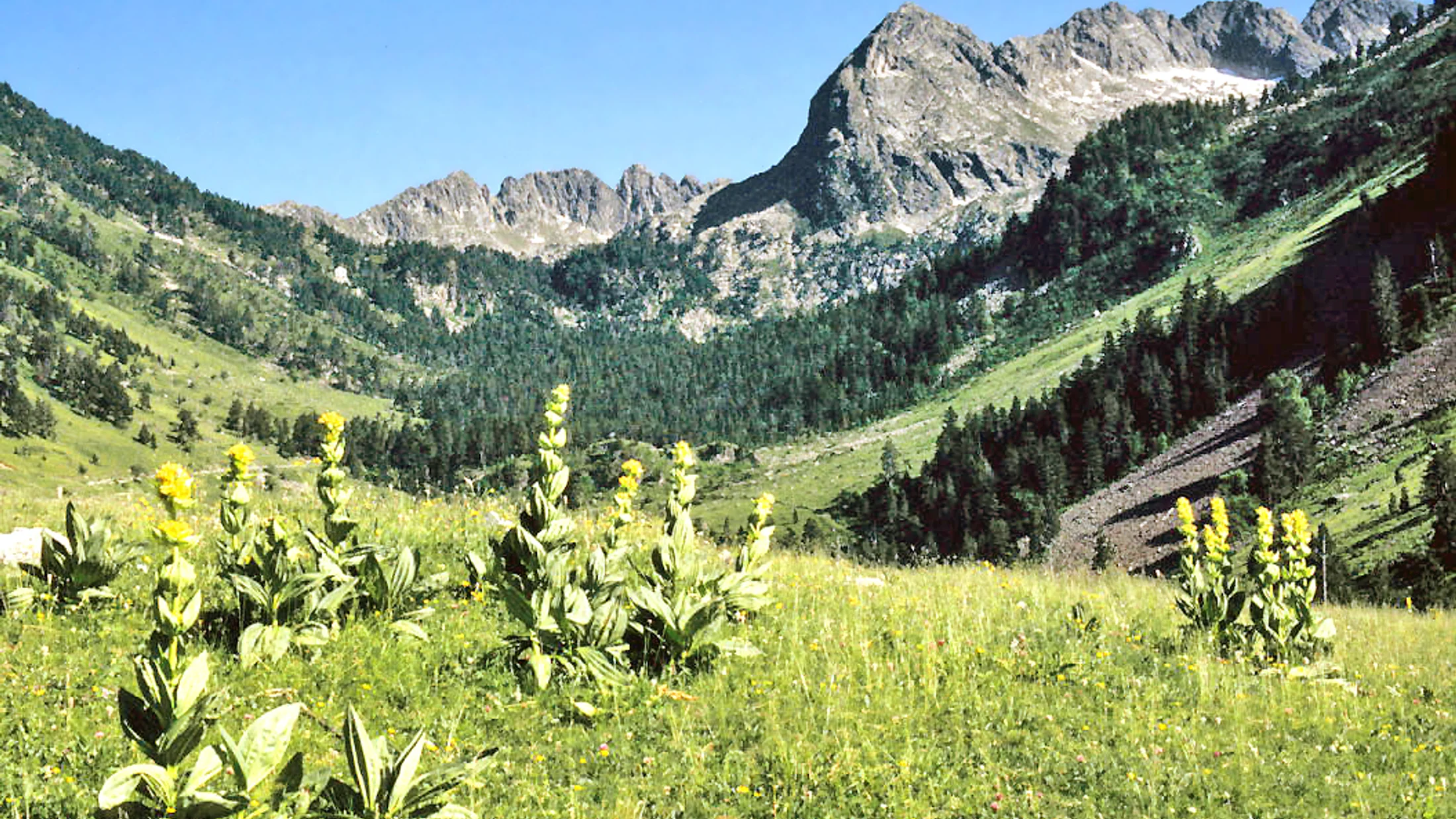 Imagen de Región: cmcncpt7g0hvfzr5p4k5ed6ex