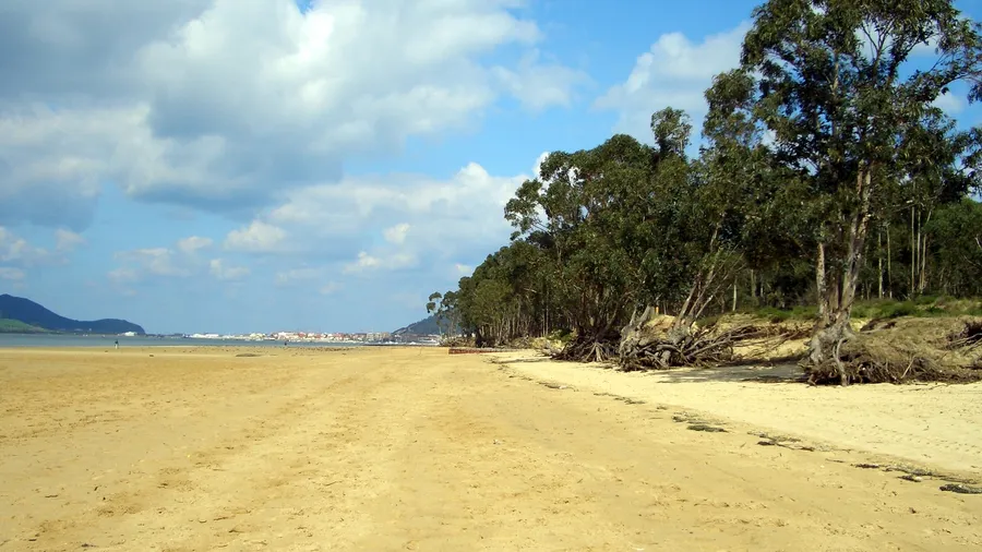 Imagen de Región: cmcjdd6q0006dik8p9tkw4jnq